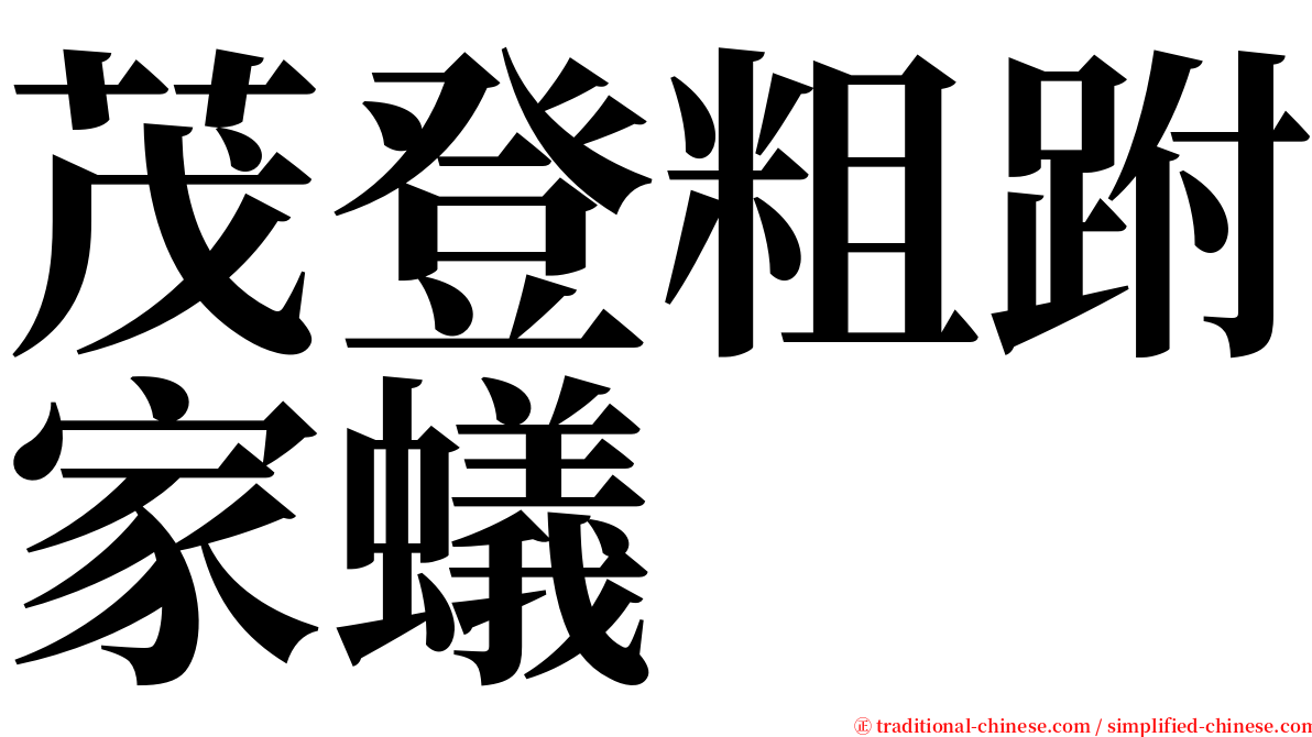 茂登粗跗家蟻 serif font