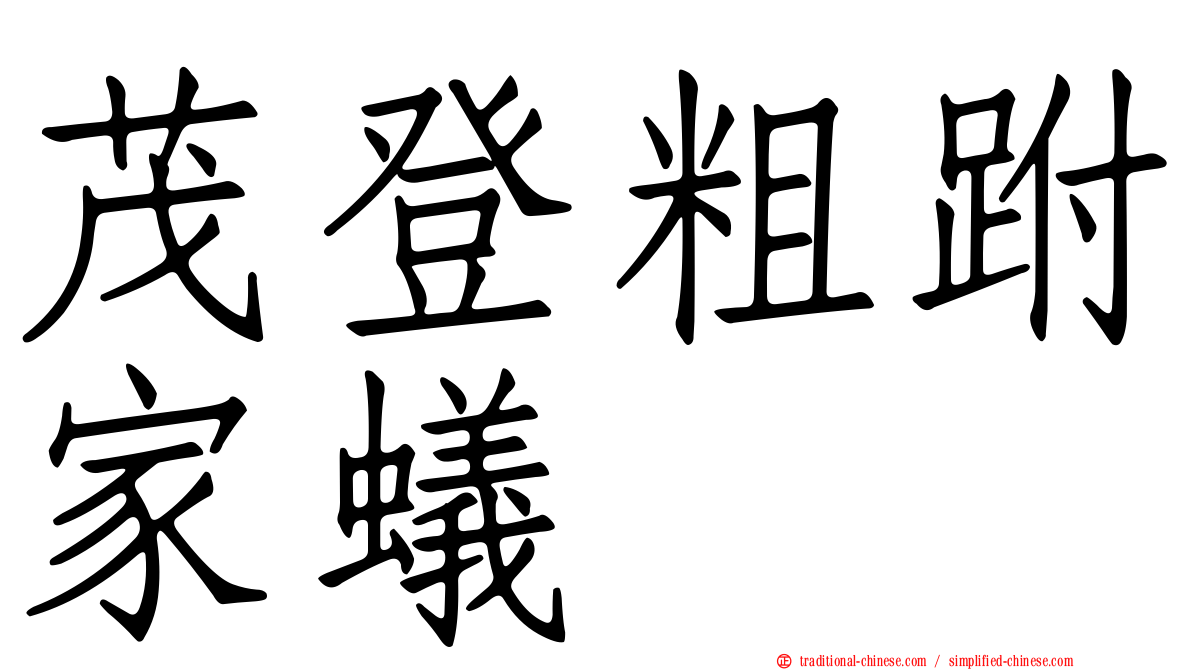 茂登粗跗家蟻