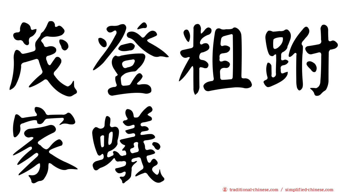 茂登粗跗家蟻