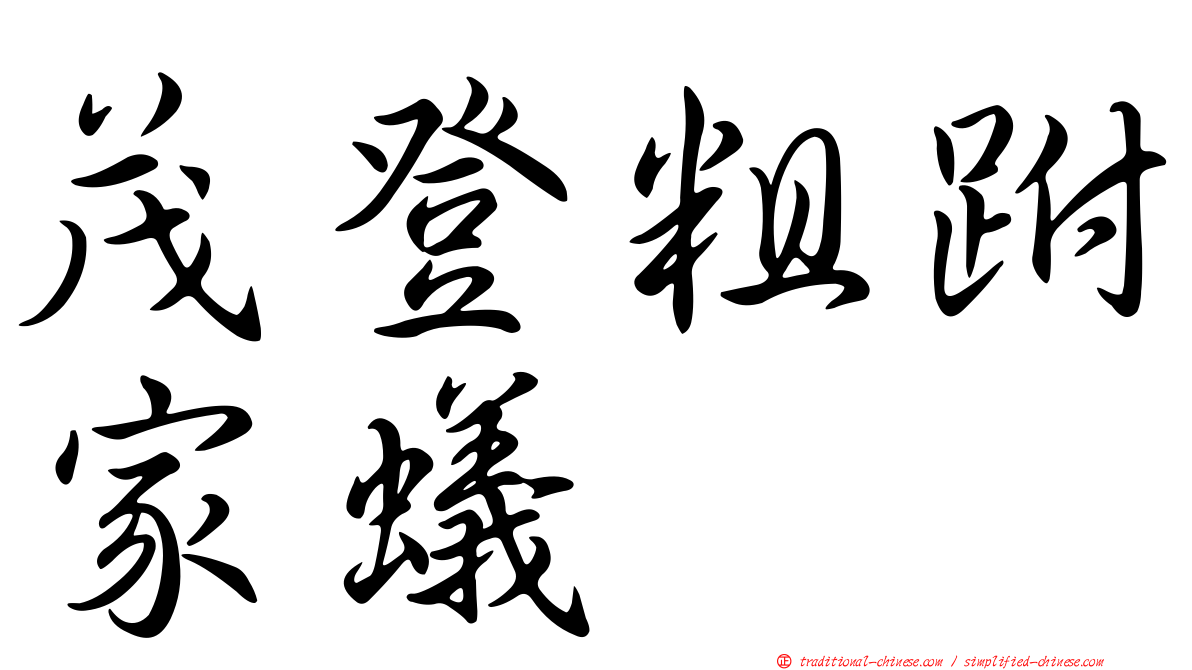 茂登粗跗家蟻