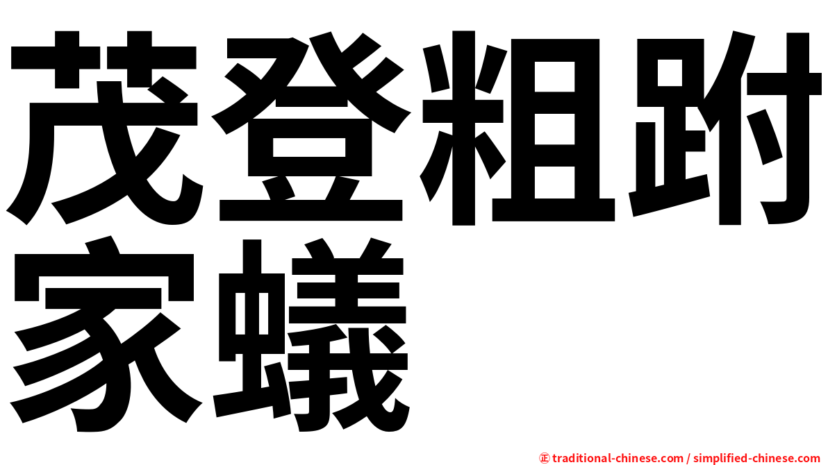 茂登粗跗家蟻