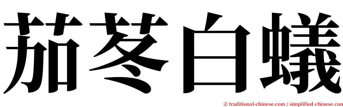 茄苳白蟻 serif font