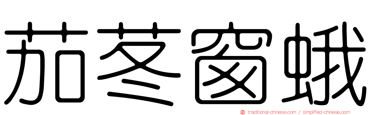 茄苳窗蛾