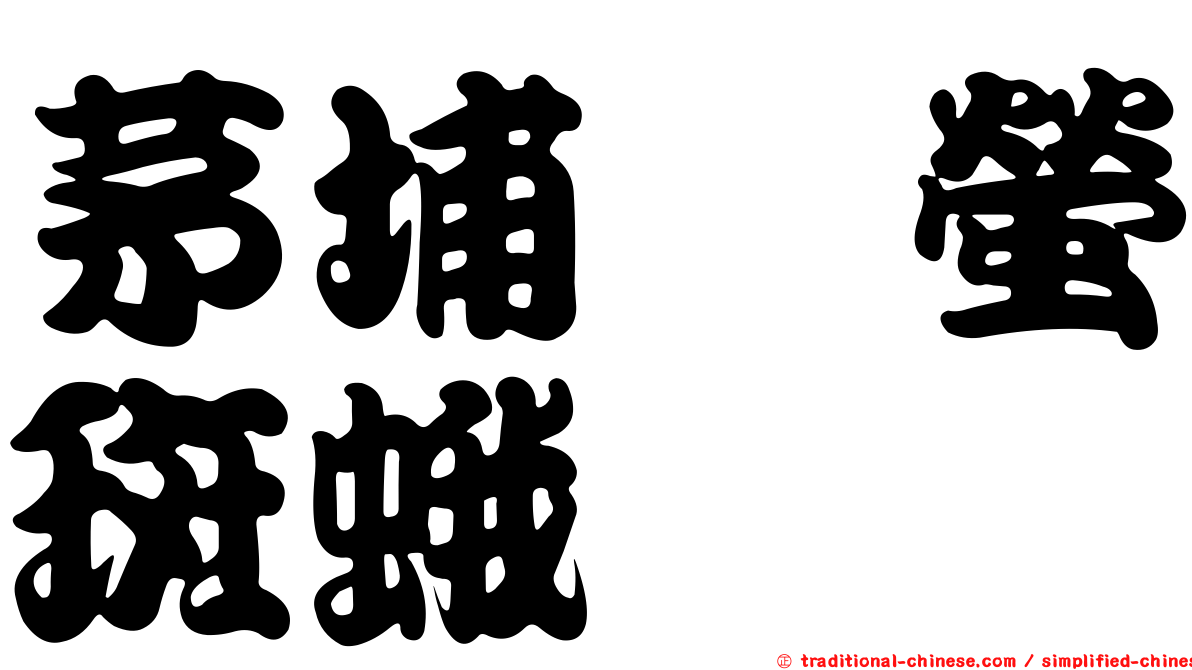 茅埔庄螢斑蛾