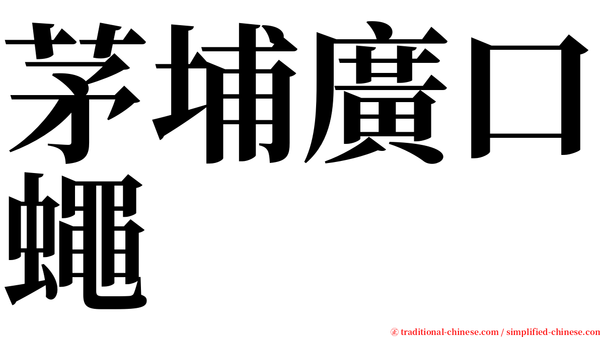 茅埔廣口蠅 serif font