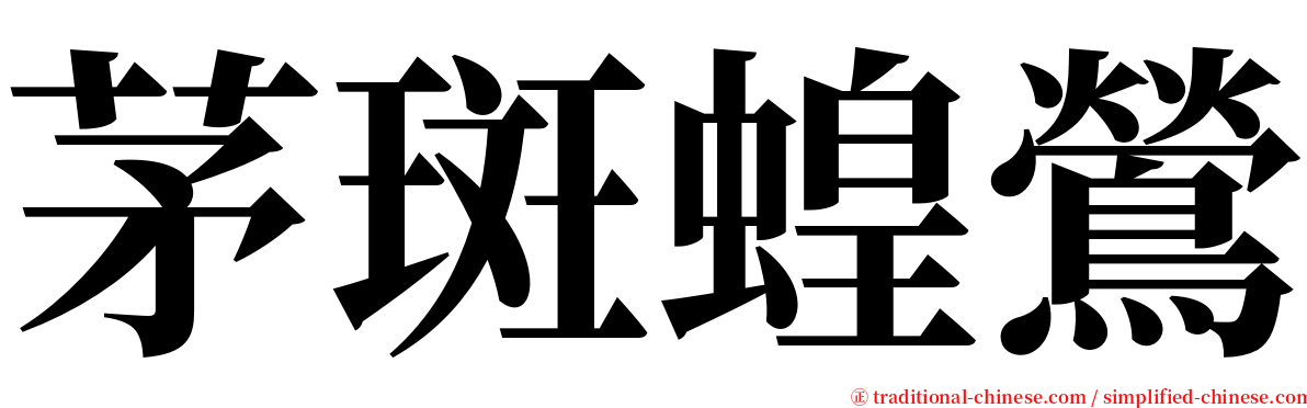 茅斑蝗鶯 serif font