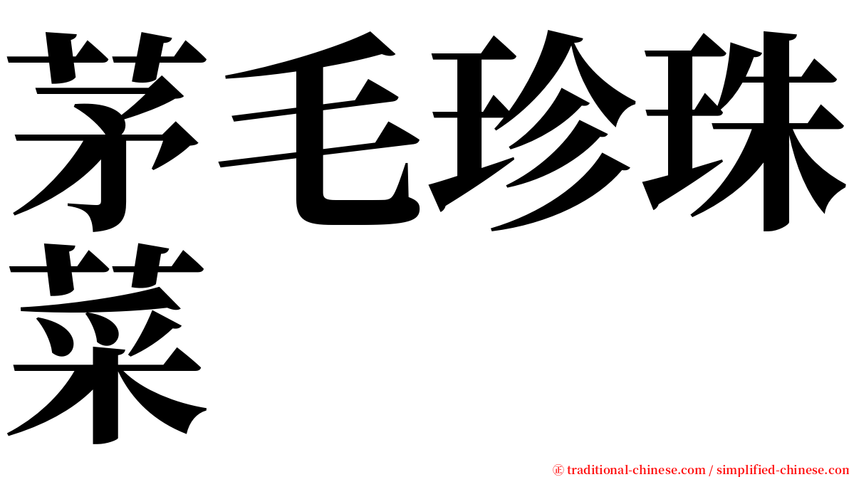 茅毛珍珠菜 serif font