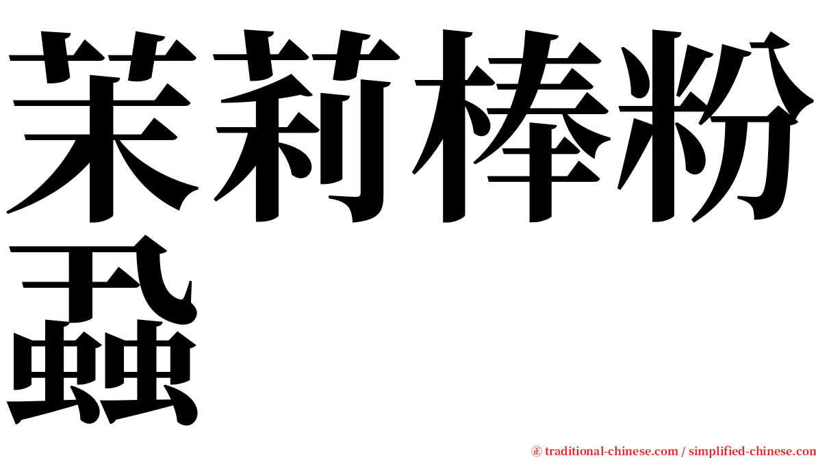 茉莉棒粉蝨 serif font