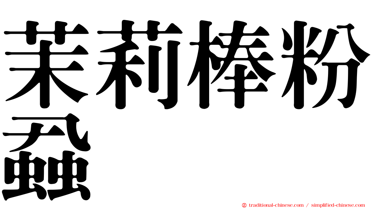 茉莉棒粉蝨