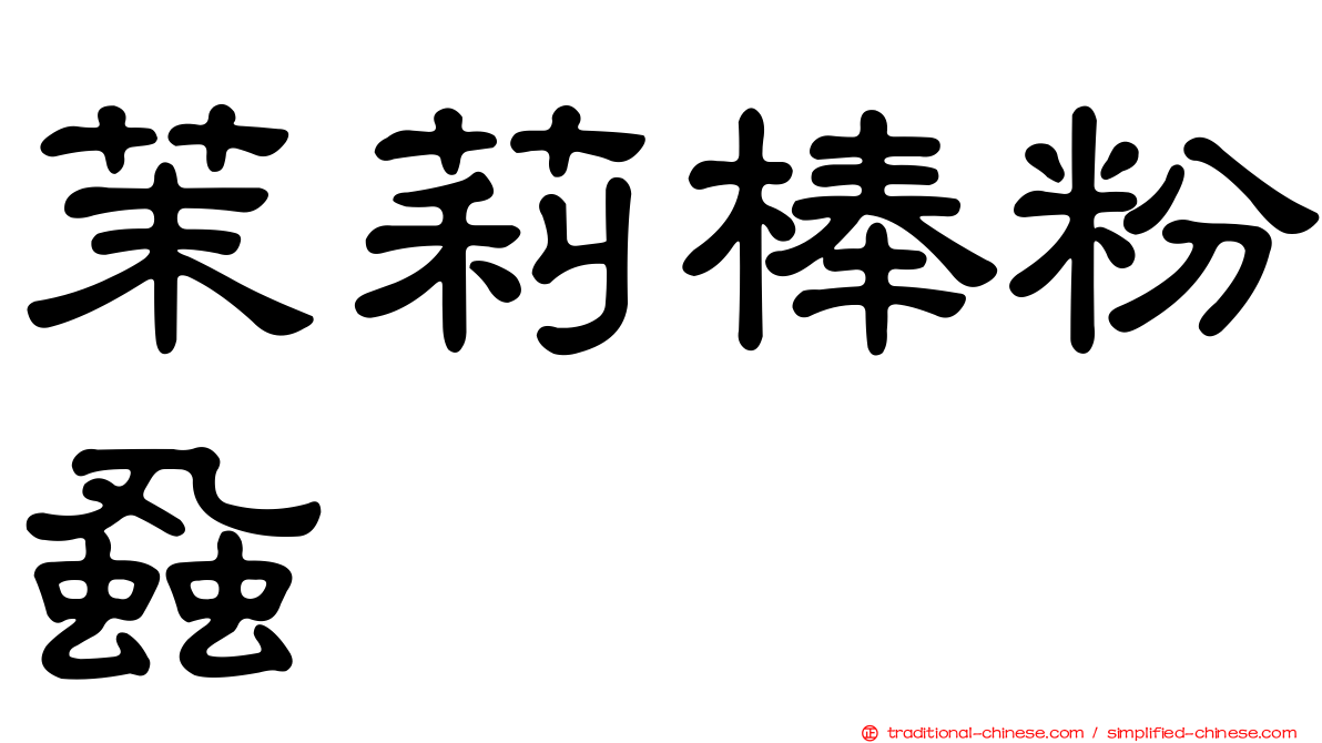 茉莉棒粉蝨