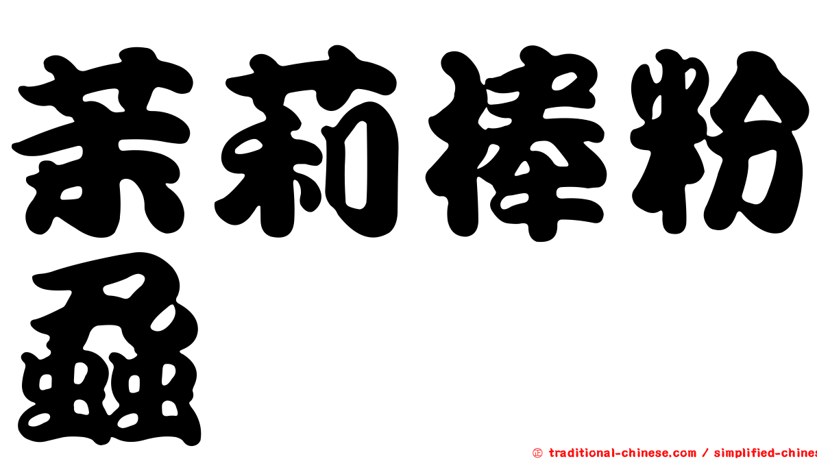 茉莉棒粉蝨