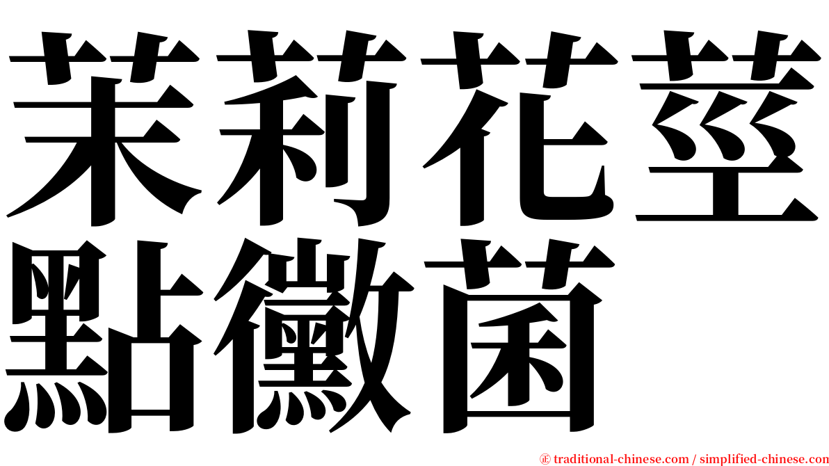 茉莉花莖點黴菌 serif font