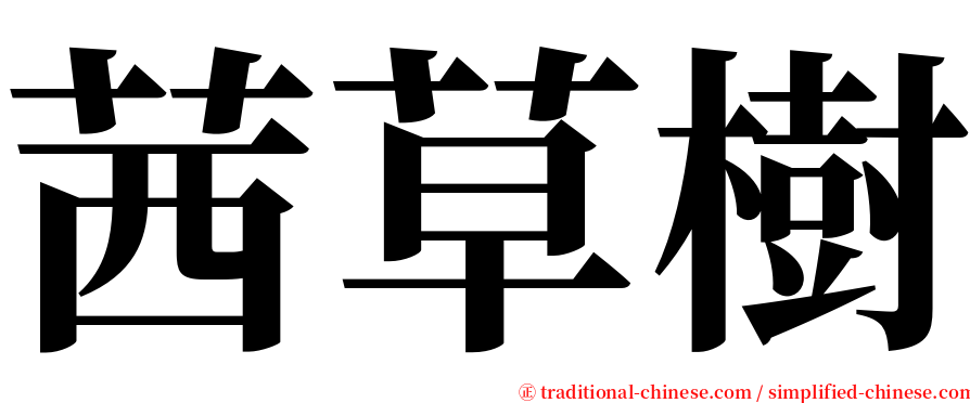 茜草樹 serif font