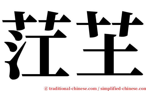 茳芏 serif font