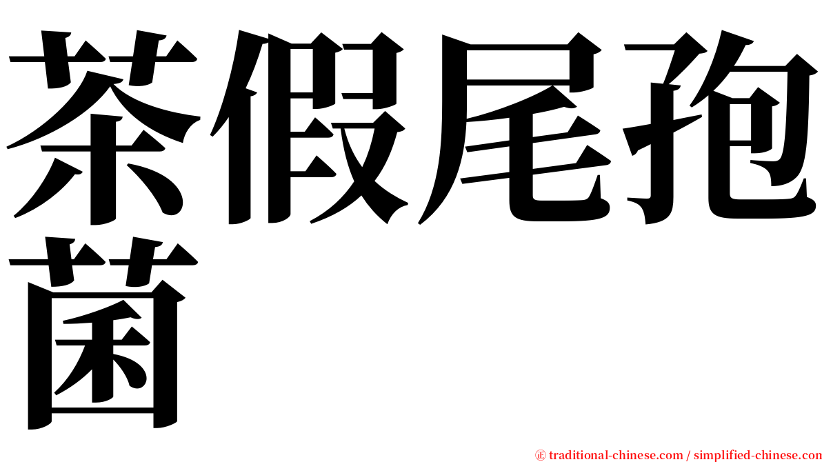 茶假尾孢菌 serif font