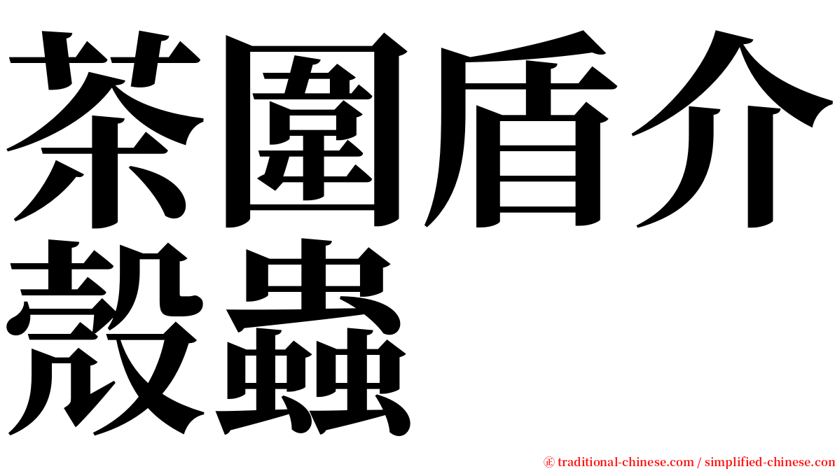 茶圍盾介殼蟲 serif font