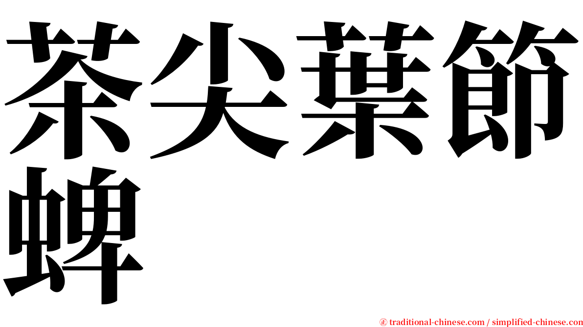 茶尖葉節蜱 serif font