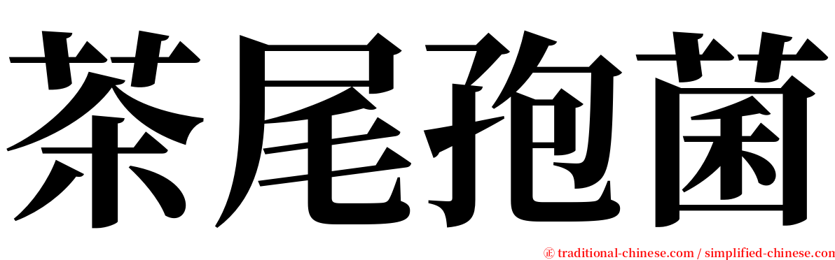 茶尾孢菌 serif font