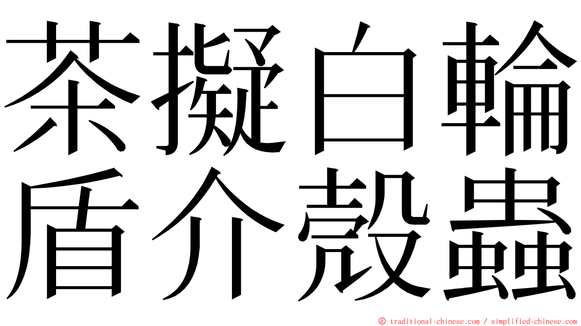 茶擬白輪盾介殼蟲 ming font