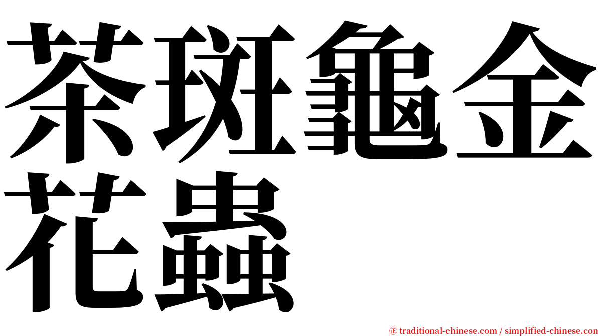 茶斑龜金花蟲 serif font