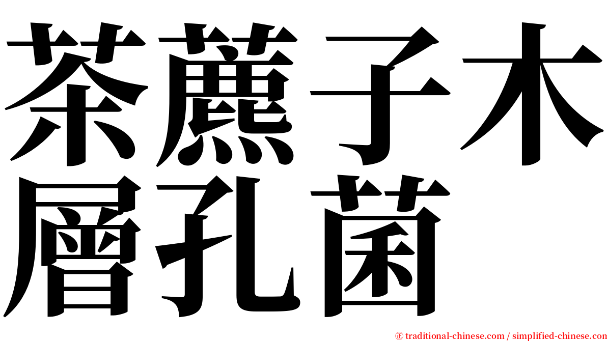 茶藨子木層孔菌 serif font