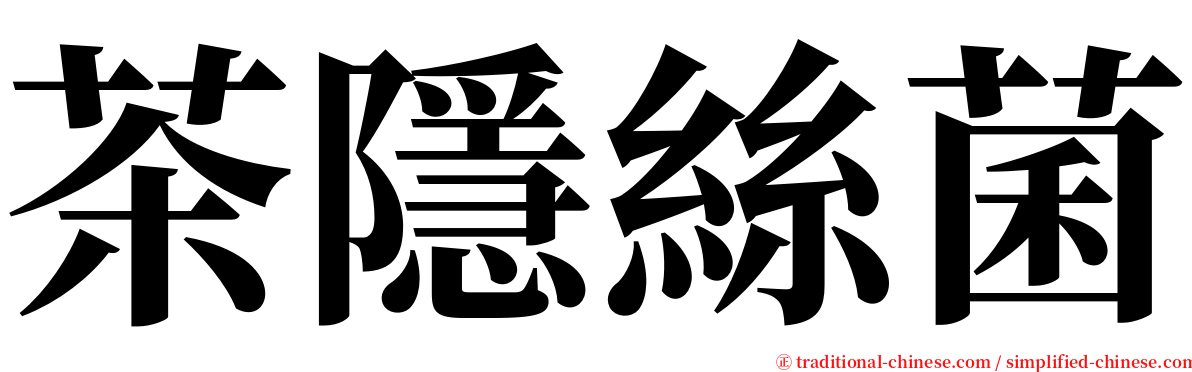 茶隱絲菌 serif font