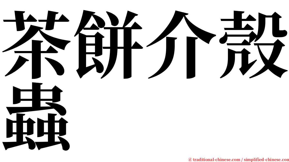 茶餅介殼蟲 serif font