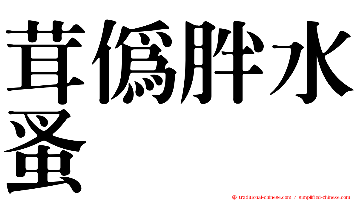 茸偽胖水蚤