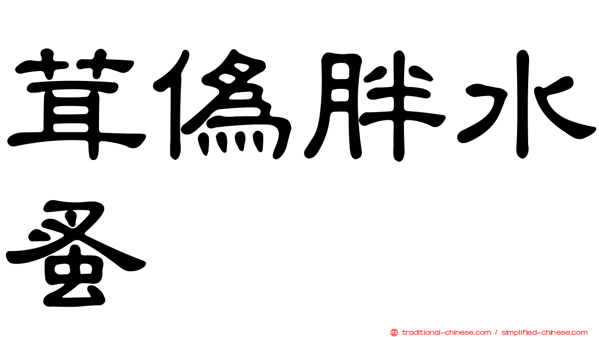 茸偽胖水蚤
