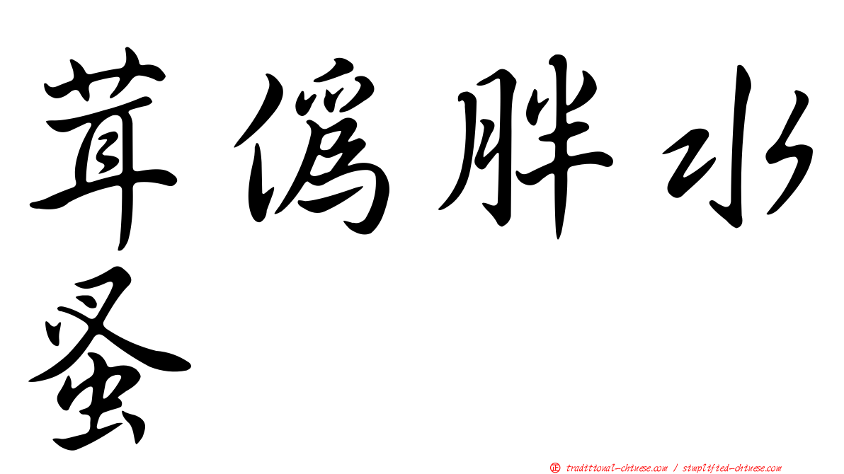 茸偽胖水蚤