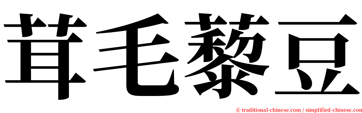 茸毛藜豆 serif font