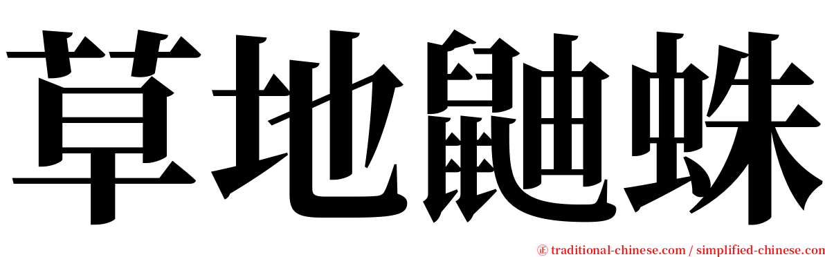 草地鼬蛛 serif font