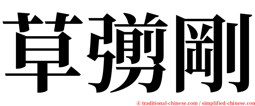 草彅剛 serif font