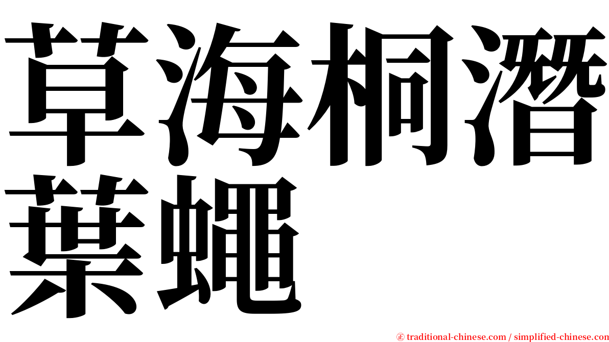 草海桐潛葉蠅 serif font