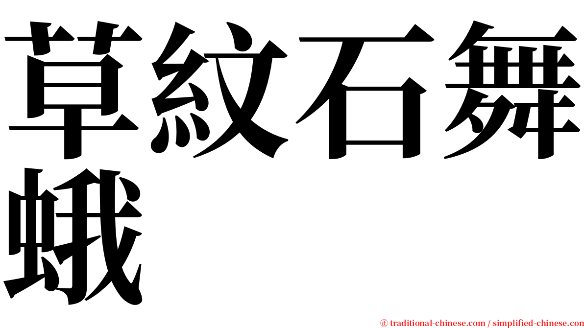 草紋石舞蛾 serif font