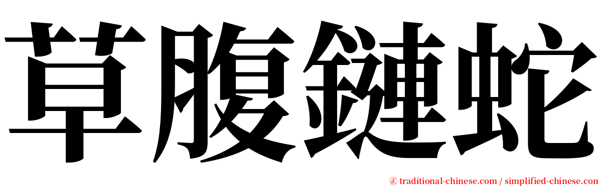 草腹鏈蛇 serif font