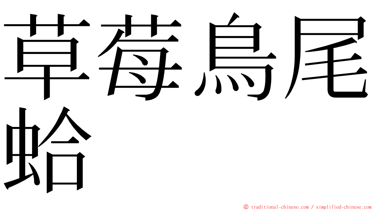 草莓鳥尾蛤 ming font