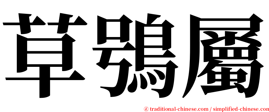 草鴞屬 serif font