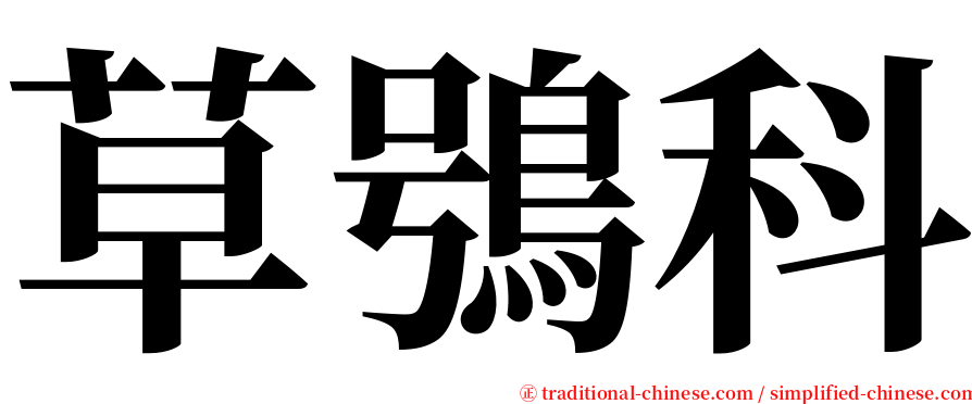 草鴞科 serif font