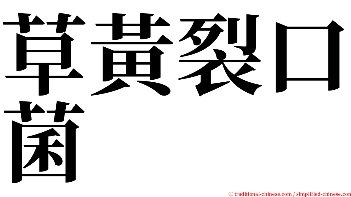 草黃裂口菌 serif font