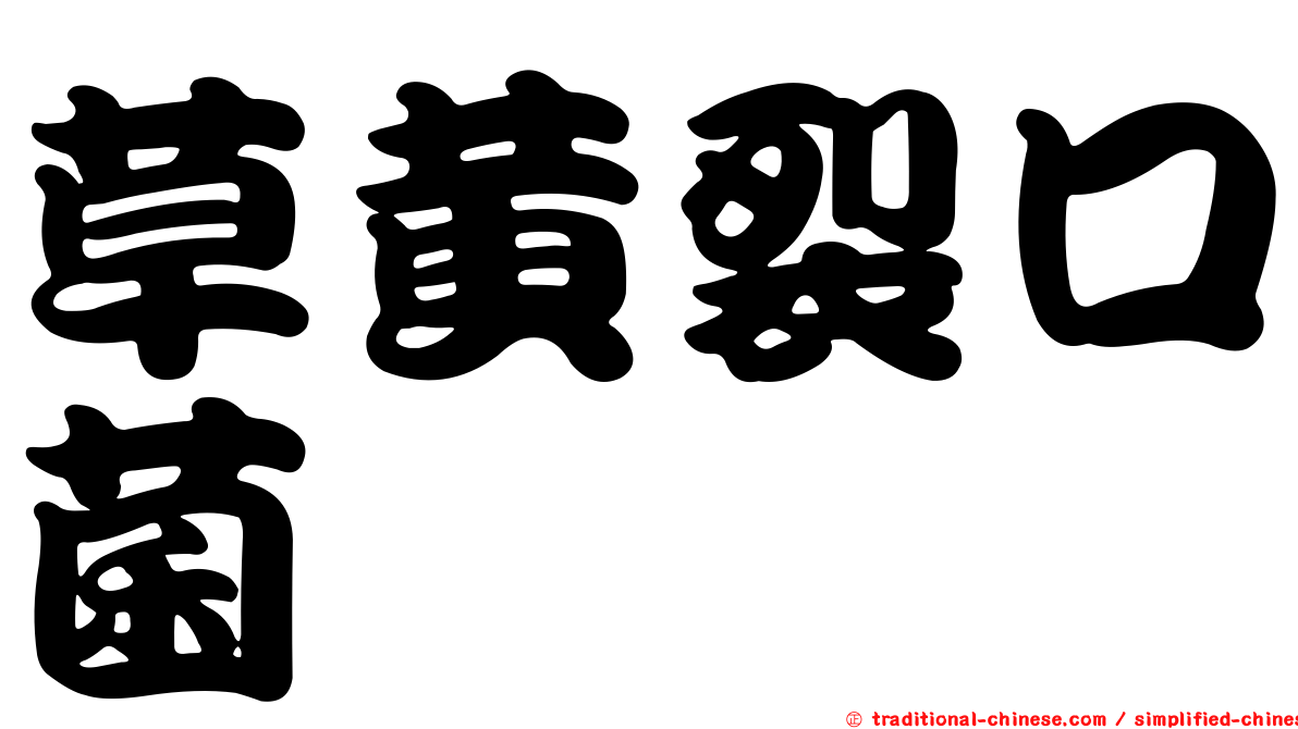 草黃裂口菌