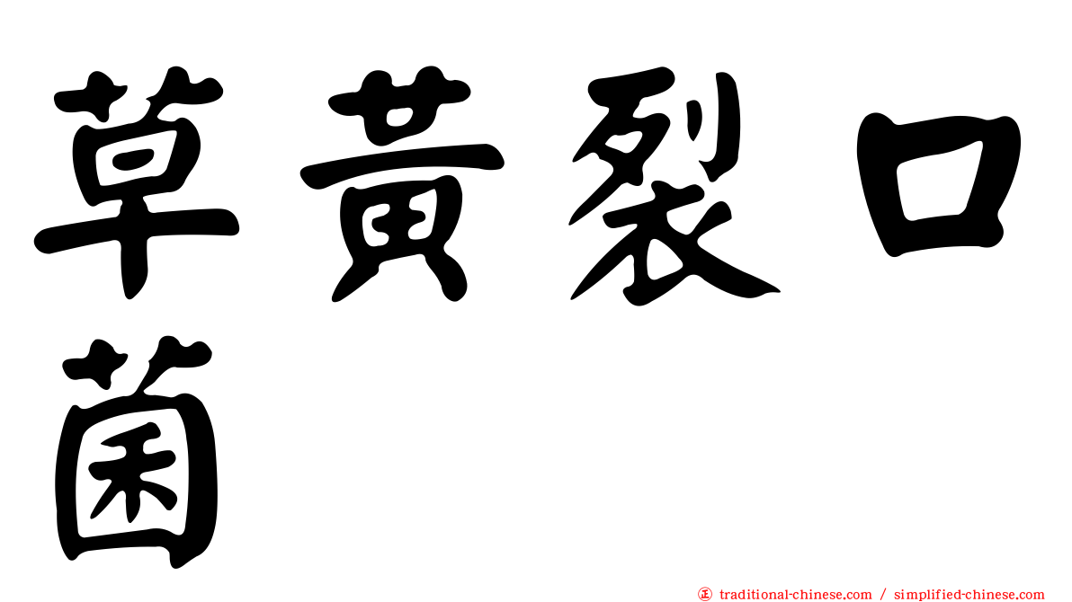 草黃裂口菌