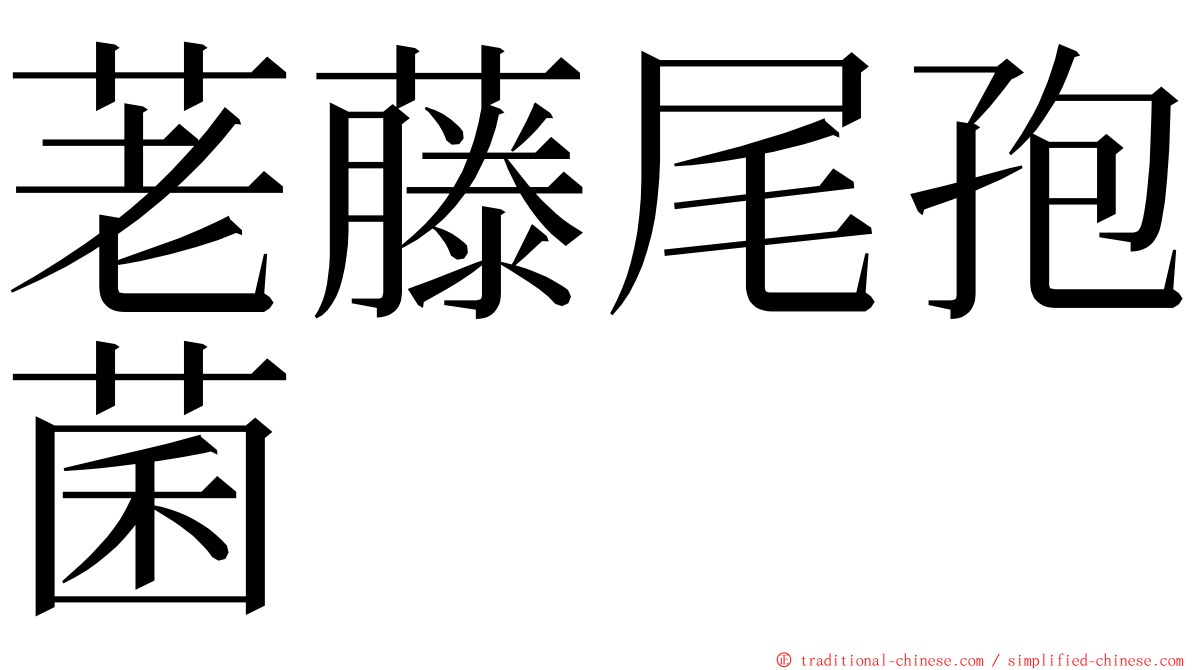 荖藤尾孢菌 ming font