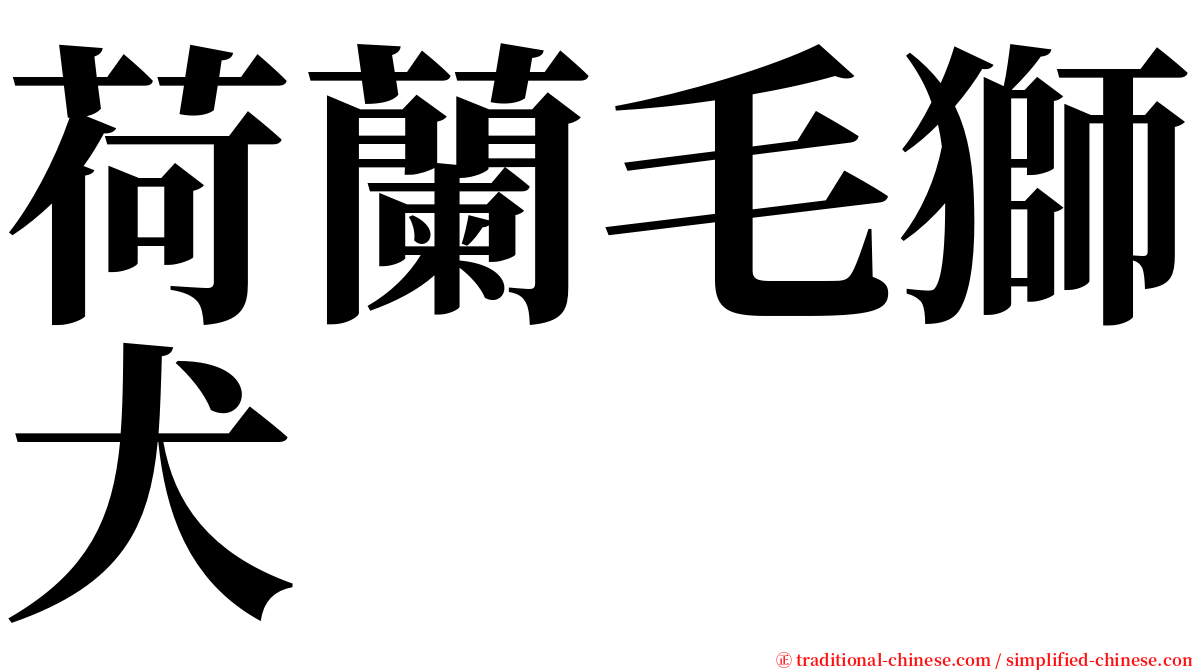 荷蘭毛獅犬 serif font