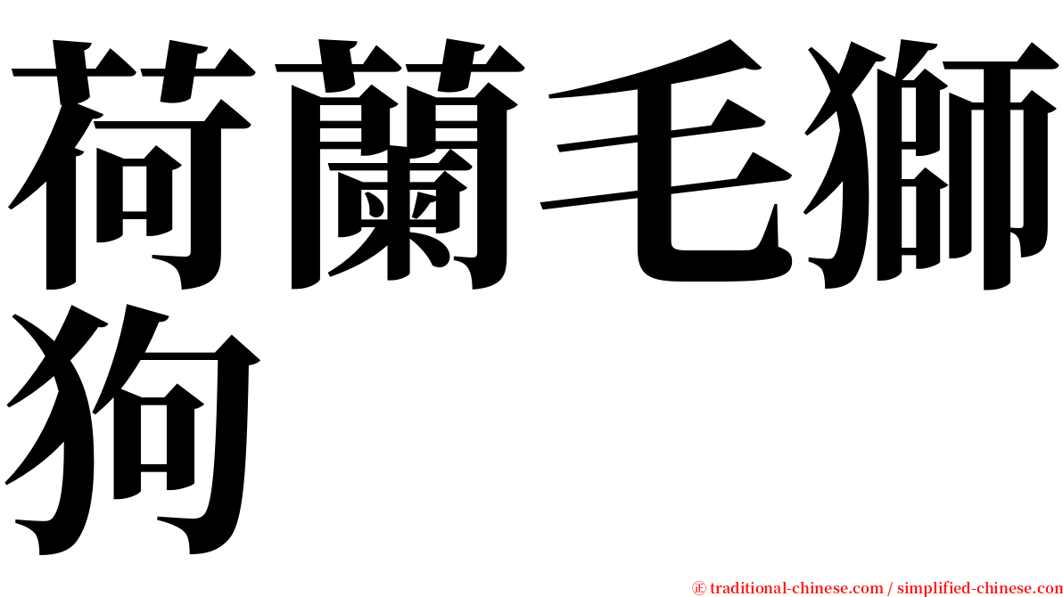 荷蘭毛獅狗 serif font