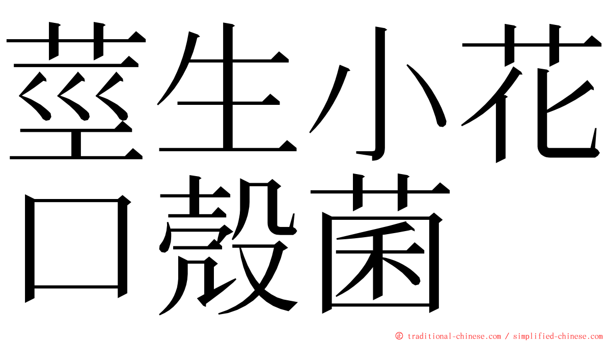 莖生小花口殼菌 ming font