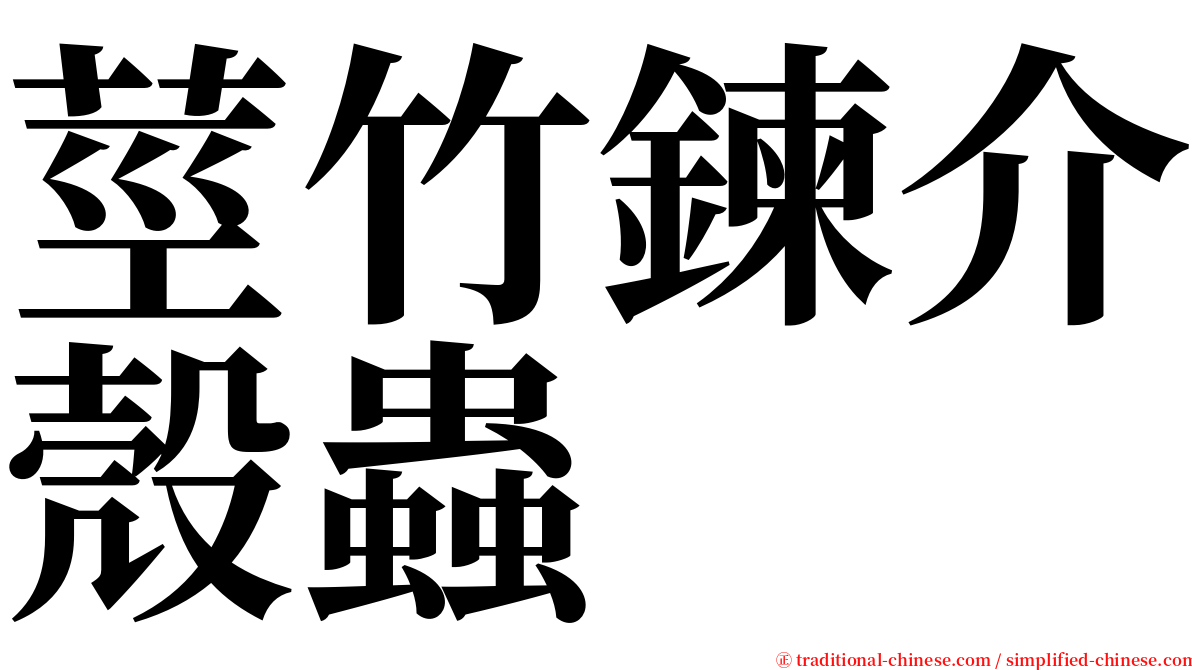 莖竹鍊介殼蟲 serif font