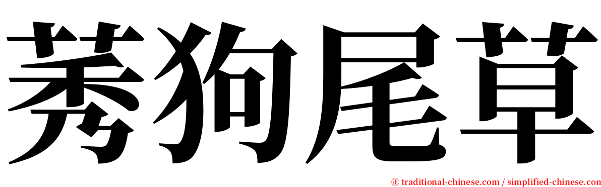 莠狗尾草 serif font