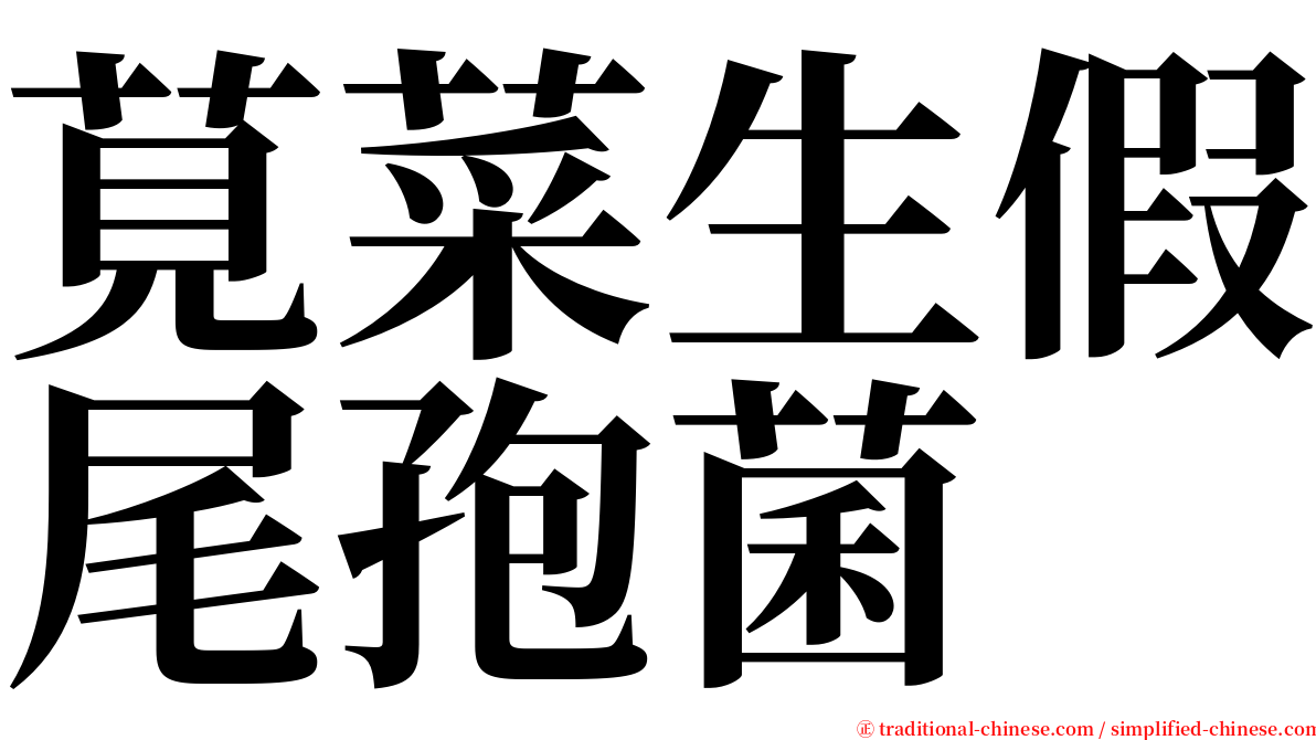 莧菜生假尾孢菌 serif font