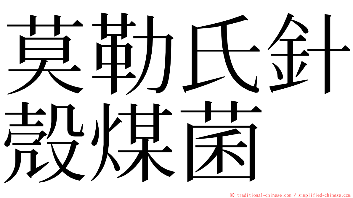 莫勒氏針殼煤菌 ming font